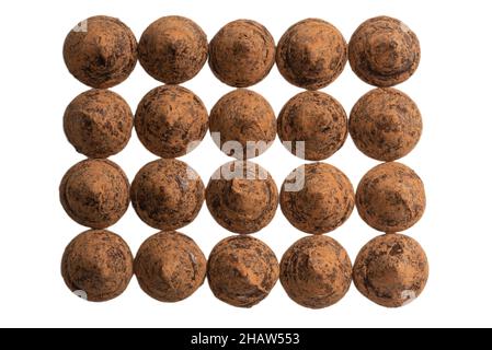 Tartufi di cioccolato isolati su sfondo bianco. Caramelle al cioccolato. Foto Stock