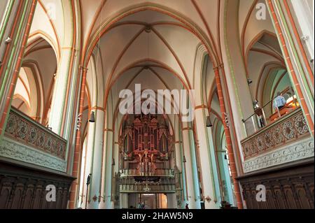 Volta a soffitto con grande organo barocco, costruito nel 1553, costruttore di organi Hendrik Niehoff, St. Johannis, 1289-1470, Lueneburg, bassa Sassonia, Germania Foto Stock