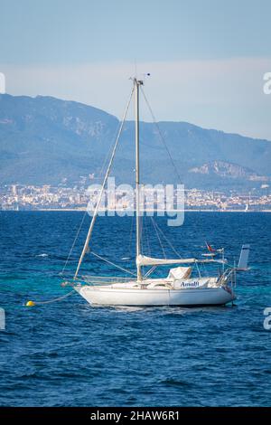 Barca a vela nella baia di Palma, dietro Palma con cattedrale, Maiorca, Spagna Foto Stock