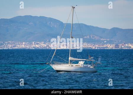 Barca a vela nella baia di Palma, dietro Palma con cattedrale, Maiorca, Spagna Foto Stock