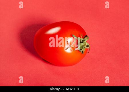 pomodoro prugna su sfondo rosso Foto Stock