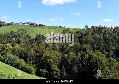 Austria, vigneti sulle ripide pendici di Kitzeck im Sausal situato sulla strada del vino della Stiria, il paesaggio collinare è anche noto come la Toscana di Aus Foto Stock