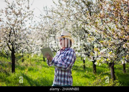 Farmer using digital tablet while inspecting blooming fruit trees in orchard. Gardener using modern technology. Man wearing shirt and straw hat in sun Foto Stock