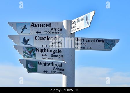 Essex Wildlife Trust Thameside Nature Reserve & Discovery Park primo piano di segnaletica educativa che mostra le miglia volate da specie di uccelli per raggiungere il Regno Unito Foto Stock
