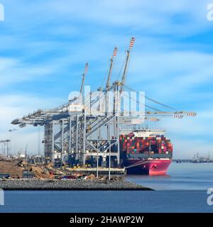 Grande nave container e pieno carico di contenitori di spedizione sotto grandi gru alte ancorate al porto estuario del London Gateway Thames per scaricare Essex UK Foto Stock