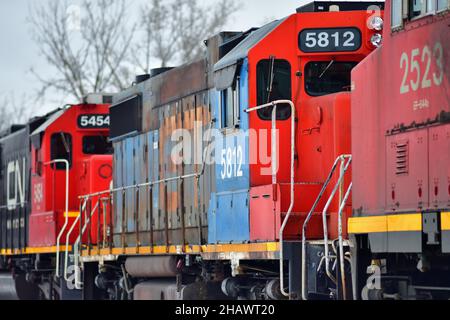 Bartlett, Illinois, Stati Uniti. Cinque locomotive Canadian National Railway conducono un treno merci attraverso i sobborghi di Chicago. Foto Stock