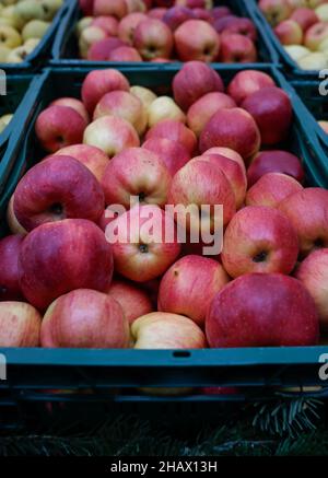 Immagine di profondità di campo poco profonda (fuoco selettivo) con mele fresche organiche in vendita in un mercato all'aperto a Bucarest, Romania. Foto Stock