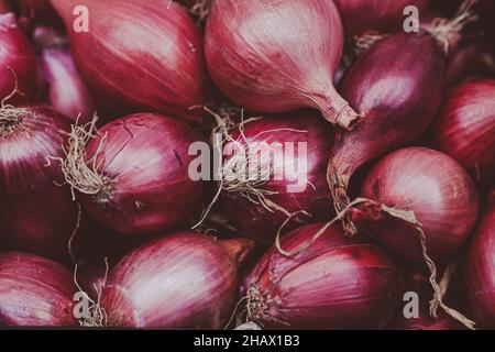 Immagine di profondità di campo poco profonda (fuoco selettivo) con cipolle rosse fresche biologiche in vendita in un mercato all'aperto a Bucarest, Romania. Foto Stock
