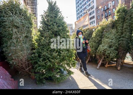 Passer-by passeggiata attraverso la foresta di un venditore di alberi di Natale nel quartiere Chelsea di New York lunedì 13 dicembre 2021. (© Richard B. Levine) Foto Stock