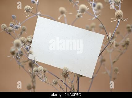 Foglio bianco vintage di carta su un ramo di una pianta spinosa asciutta. Sfondo beige, profondità di campo bassa. Il concetto di naturalità. Foto Stock