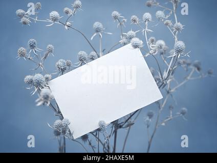 Composizione invernale. Foglio bianco di carta su un ramo di una pianta spinosa asciutta. Sfondo blu, profondità di campo poco profonda. Il concetto di naturalità. Foto Stock