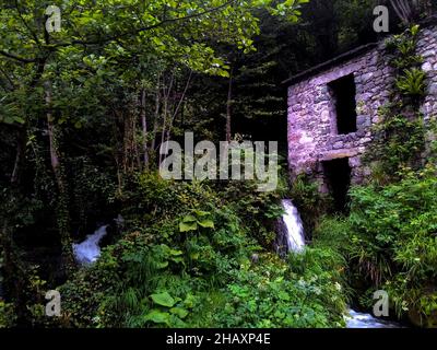 Antico mulino in pietra nella foresta, circondato da alberi verdi Foto Stock