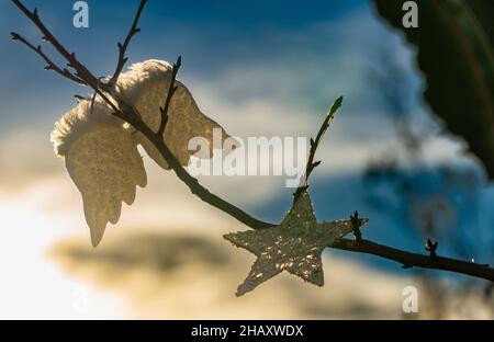 Newhame Rd, Montrose, Angus, Scozia, UK 15th del dicembre 2021: Nella foto - Un albero soleggiato, adiacente alla scena, diventa un'area che i membri del pubblico hanno scelto di piangere la morte della donna di 61 anni che morì, dopo essere stata colpita da un'auto mentre camminava lungo il marciapiede. La gente ha decorato l'albero con stelle, fate e luci fairy. L'albero è circondato da fiori, che contengono messaggi personali alla donna che tragicamente è morto il 11th dicembre 2021. Credit:Barry Nixon/Alamy Live News Foto Stock