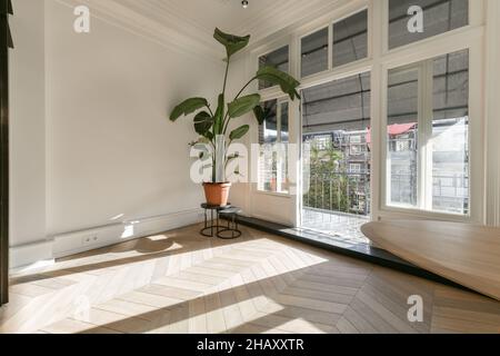 Frammento di interno di stanza vuota con pavimento in parqueto e pianta verde in vaso posta su stand e porta di vetro aperta che conduce al balcone Foto Stock