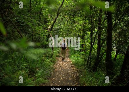 Vista posteriore del viaggiatore full body femminile con zaino a piedi lungo uno stretto sentiero in verde lussureggiante foresta di thicket nel parco nazionale di Fragas do Eume in G Foto Stock