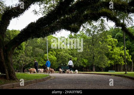 SAN PAOLO, BRASILE - 04 maggio 2018: Le persone che camminano i loro cani in un parco a San Paolo, Brasile Foto Stock