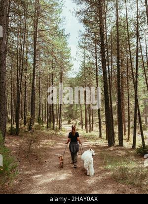 Vista posteriore di signora irriconoscibile camminando lungo il sentiero nella foresta verde di Cuenca con cani su guinzaglio Foto Stock