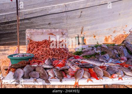 Variopinti pesci crudi esposti sul tavolo per la vendita al mercato Foto Stock