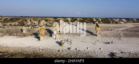 Rauks sull'isola di Faaroe Svezia Foto Stock