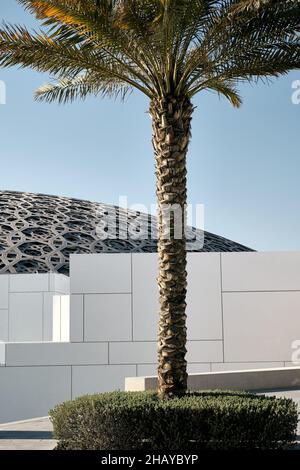 Bellissimo scatto di una palma all'esterno del museo del Louvre Abu Dhabi Foto Stock