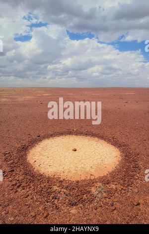 Cerchio di pietra di manmade in pianure gibber, Australia Foto Stock