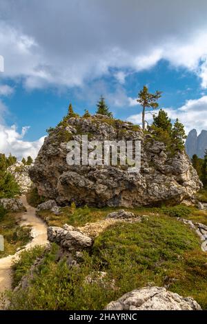 Città di pietra sotto il monte Langkofel, Passo Sella, Alto Adige Foto Stock