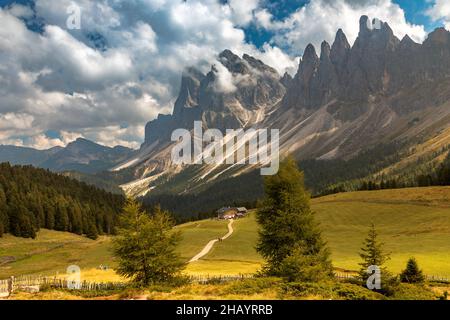 ALP sul Monte Rasciesa di fronte al gruppo Odle, Gardena, Alto Adige Foto Stock