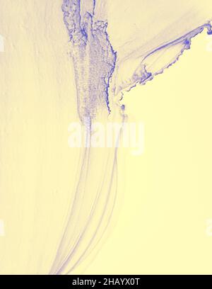 Modello di invito al matrimonio. Flusso pastello giallo Foto Stock