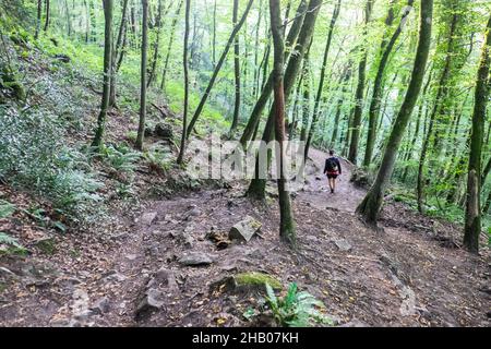 Escursioni,escursionista,escursionista,camminando,sentiero,sentiero,percorso,Offaa's Dyke Path,su,sentiero,pubblico,fino,a,Devil's Pulpit,con,vista,punto,di,vista,di,Tintern,Tintern Abbey,e,River Wye,Below,Galles,Welsh,UK,Regno Unito,Gran Bretagna,Gran Bretagna,Inghilterra, Regno Unito,Europa,europea Foto Stock
