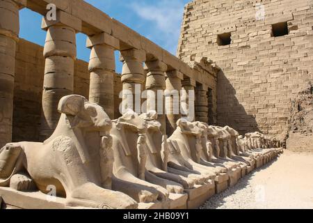 Complesso tempiale di Karnak a Luxor, Egitto. Vicolo di Criosfinxes, guard sfinxes con le teste di montone. Foto Stock