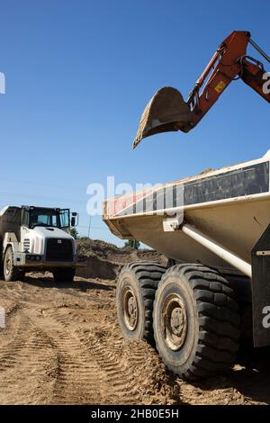 due dumper e un braccio escavatore in cantiere durante il carico e il trasporto del terreno. scavo Foto Stock