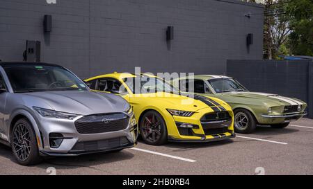 ROYAL OAK, MI/USA - 20 AGOSTO 2021: Una Ford Mach-e GT e due Ford Mustang Shelby GT 500 sulla rotta Woodward Dream Cruise. Foto Stock