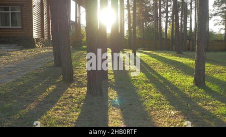 Bella casa ornata percorso giardino con alberi siepi erba. Un bel cortile sul retro in una giornata di sole. Foto Stock