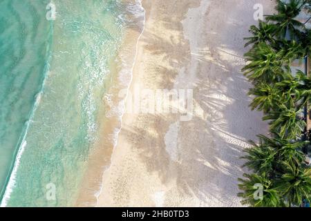 Vista aerea dall'alto bellissima spiaggia d'attualità con palme da cocco e mare di sabbia bianca. Vista dall'alto spiaggia vuota e pulita. Onde che si infrangono spiaggia vuota fr Foto Stock