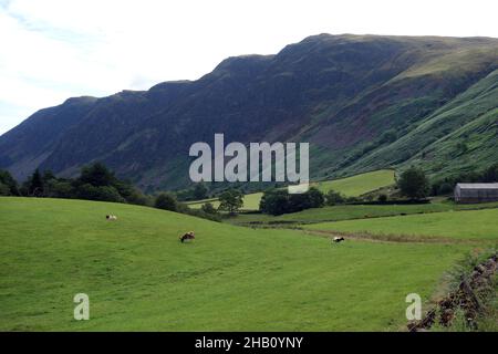 The Wainwrights 'Illgill Head & Whin Rigg' di Easthwaite Farm, Nether Wasdale nella Wasdale Valley, Lake District National Park, Cumbria, Inghilterra, Regno Unito Foto Stock