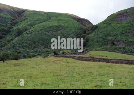 The Path to the Wainwright 'Whin Rigg' by Easthwaite Farm via Greathall Gill naer Nether Wasdale, Lake District National Park, Cumbria, Inghilterra, Regno Unito Foto Stock