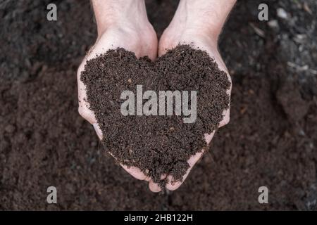 Coltivatore maschio che tiene terreno nelle sue mani. Composto organico macinato in forma di cuore. Copia spazio Foto Stock