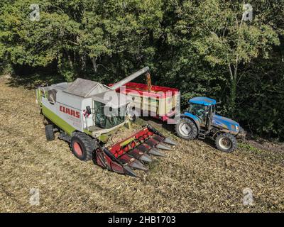 Mietitrebbia e trattore in un campo di mais durante la mietitura a Puyrolland (Francia centro-occidentale) Foto Stock