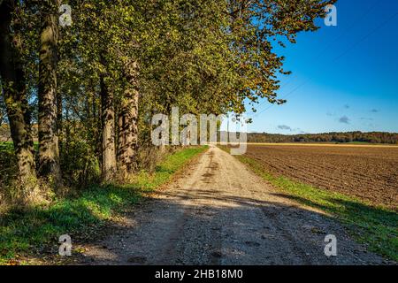 Una strada sterrata nella contea di Parke, Indiana. Foto Stock