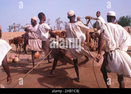 Vita nella regione Sahel della Nigeria settentrionale, Africa occidentale, all'inizio del 1980s - uomini che attingono acqua da un pozzo Foto Stock