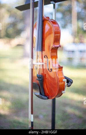 Violino in legno di quercia in stand per matrimoni all'aperto Foto Stock