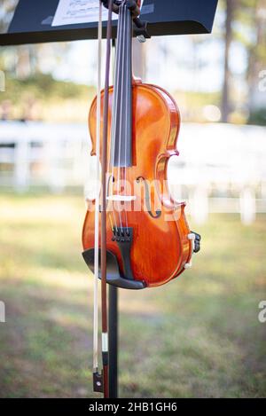 Violino in legno di quercia in stand per matrimoni all'aperto Foto Stock