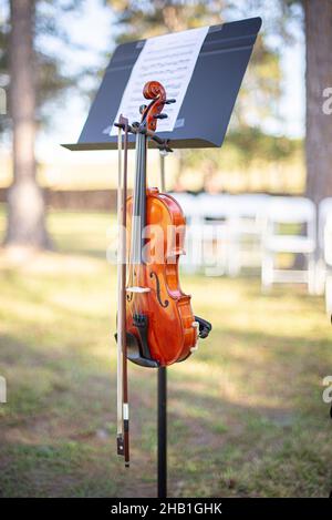 Violino in legno di quercia in stand per matrimoni all'aperto Foto Stock