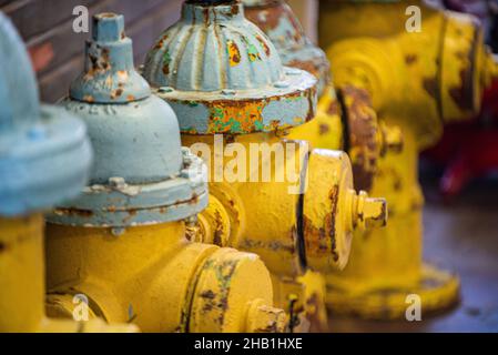 Giallo antico fuoco idranti con cime blu allineati in un museo del fuoco Foto Stock