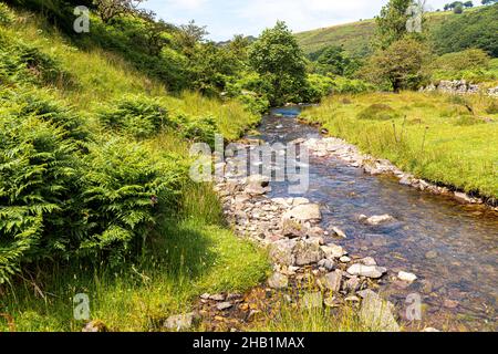 Un flusso di Exmoor in estate - Weir Water vicino a Robbers Bridge, Somerset Regno Unito Foto Stock