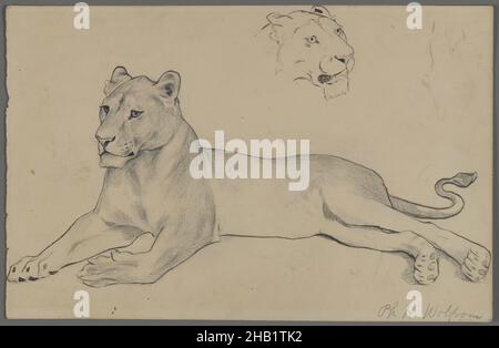 Lioness seduto, Philip H. Wolfrom, americano, 1870-1904, grafite e inchiostro su carta, n.d., foglio: 6 x 9 5/16 pollici, 15,2 x 23,7 cm Foto Stock