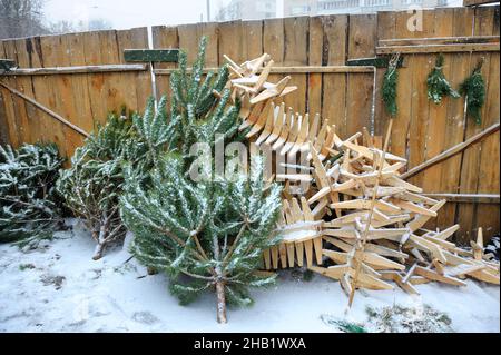 Preparazione per il Capodanno. Pini e spine che mettono in vendita alla bancarella esterna. Kiev, Ucraina. Foto Stock