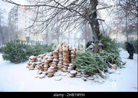 Preparazione per il Capodanno. Pini e spine che mettono in vendita alla bancarella esterna. Kiev, Ucraina. Foto Stock