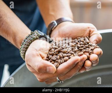 Il torrefore di caffè sta controllando i chicchi di caffè appena torrefatti a Bangkok Foto Stock