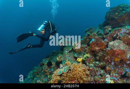 Subacqueo che esplora le acque tropicali intorno a Komodo Foto Stock